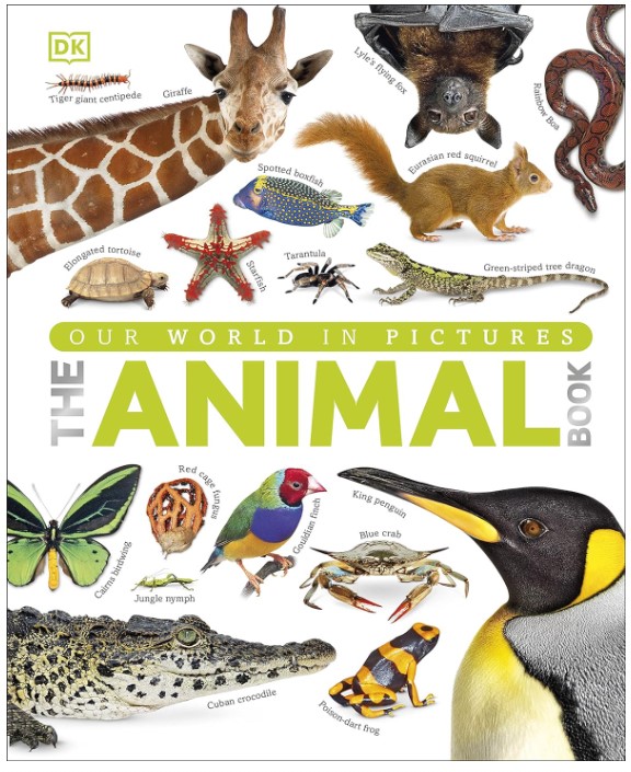 THE ANIMAL BOOK